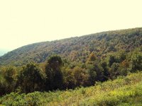 Parkway 003.jpg