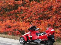 fall  spyder.jpg