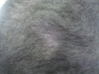 IMG_20120930_131937.jpg