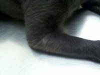 IMG_20120930_131944.jpg