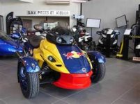 red bull.jpg