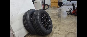 CANAM4.jpg CANAM4.jpg
