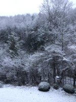 8BD83305-B1F1-494A-9125-B89EDFCEDC6F.jpg