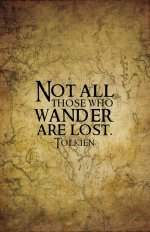 not-all-those-who-wander-are-lost.jpg