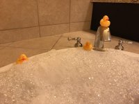 IMG_2250.jpg