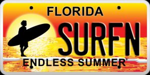 Endless_Summer_plate.jpg