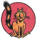 ff cat 1.jpg
