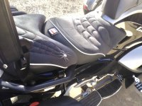 Custom with web & spyder.jpeg Custom with web & spyder.jpeg