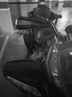 IMG_20230303_174513.jpg