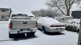 20230305_074552.jpg