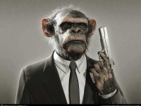 MonkeywGun.jpg
