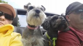 Micca & Manny enjoying the open air.jpg