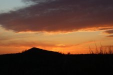 IMG_3345.jpg