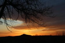 IMG_3349.jpg