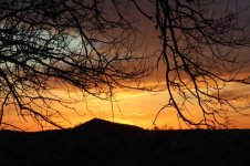 IMG_3351.jpg