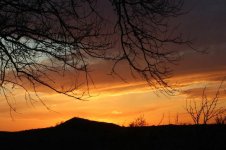 IMG_3354.jpg