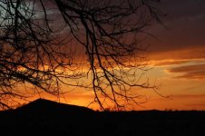 IMG_3359.jpg