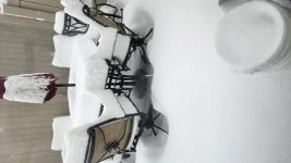 20230404_082248.jpg