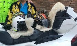close up of sheepskin-memory foam seats.jpg