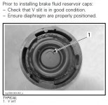 diaphragm.jpg