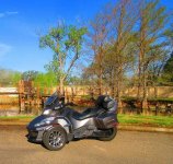IMG_6429cmp.jpg