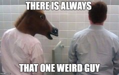 horse.jpg