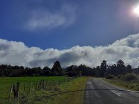 20230514_130147.jpg