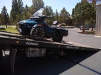IMG_20230531_124309331.jpg
