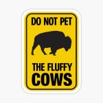 fluffycows.jpg