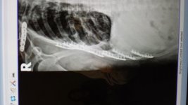 20160607_100829.jpg