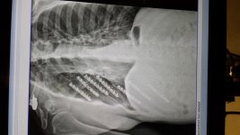 20160607_100839.jpg