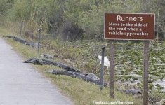 runners.jpg