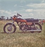Scan 6.jpg