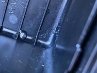 IMG_2519.jpg