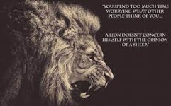 lion.jpeg