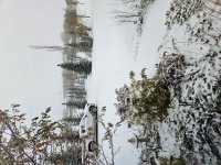 20231023_090702.jpg