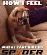 FB_IMG_1671817084728.jpg