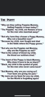 The Poppy 2023.jpg