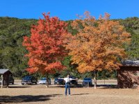 Foliage.jpg