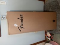 Guitar box.jpg Guitar box.jpg
