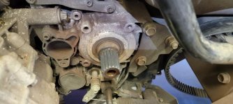 Sprocket rust.jpg Sprocket rust.jpg