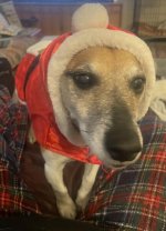 Chester Santa.jpg