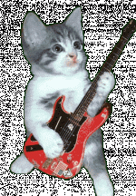rocking cat.gif