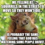 squirrels.jpg