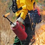 Drip Torch.jpg