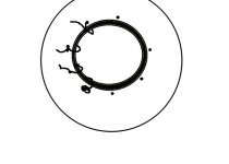 tire.jpg