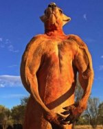 b351fcc71429fc79a5c4c00936f783ad--body-builders-kangaroos-2373489959.jpg