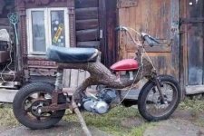 treebikejpg.jpg