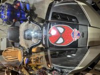 IMG_2765[1].jpg