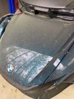 spyder1.JPG